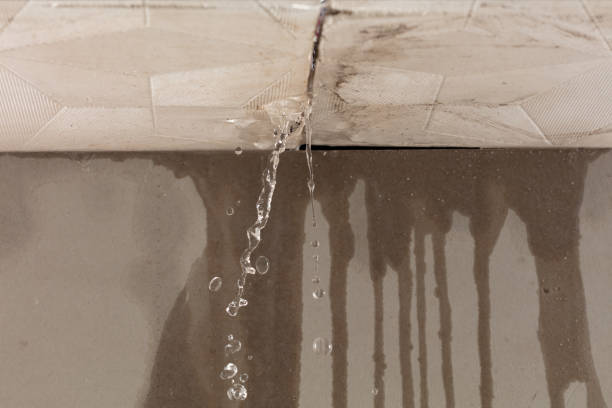 Professional Structural Drying technician working in Carrollton, OH
